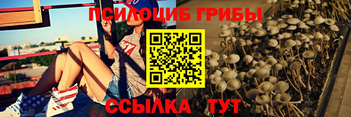 Псилоцибиновые грибы ЛСД Киреевск