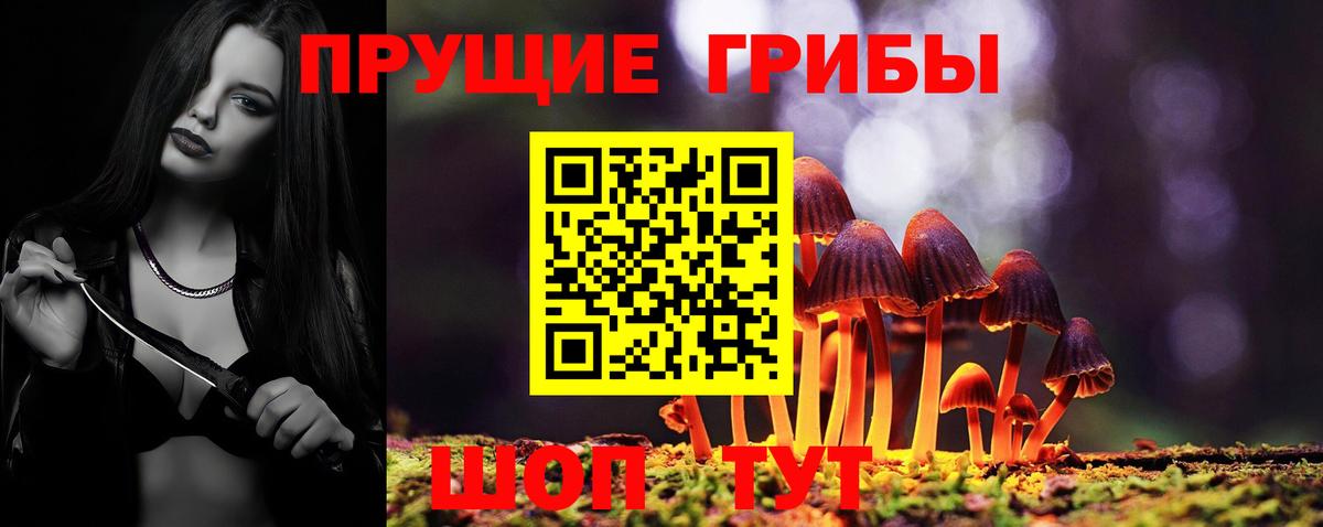 Киреевск  Псилоцибиновые грибы мицелий  Вход с VPN 
